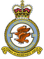 11 Squadron 
Badge