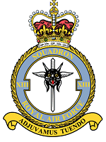 13 Squadron 
Badge